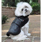 Black Top Dog Flight Coat, Pet Clothes, Furbabeez, [tag]