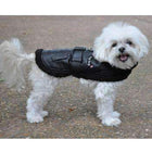 Black Top Dog Flight Coat, Pet Clothes, Furbabeez, [tag]