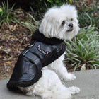 Black Top Dog Flight Coat, Pet Clothes, Furbabeez, [tag]