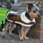 Brown and Black Faux Leather Bomber Dog Coat Harness + Leash, Pet Clothes, Furbabeez, [tag]