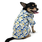 Bubble Dog Shirt, Pet Clothes, Furbabeez, [tag]