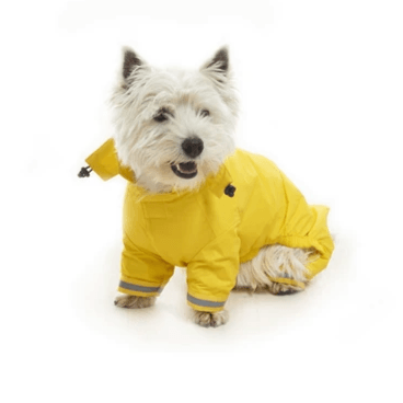 BUSTER Aqua Dog Raincoat Pet Clothes Kruuse 