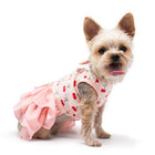 Cherish Cherry Dog Dress Pet Clothes DOGO 
