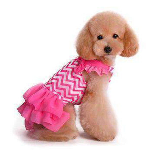 Chevron Dog Dress, Pet Clothes, Furbabeez, [tag]