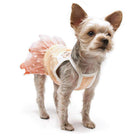 Citrus Ruffle Dog Dress, Pet Clothes, Furbabeez, [tag]
