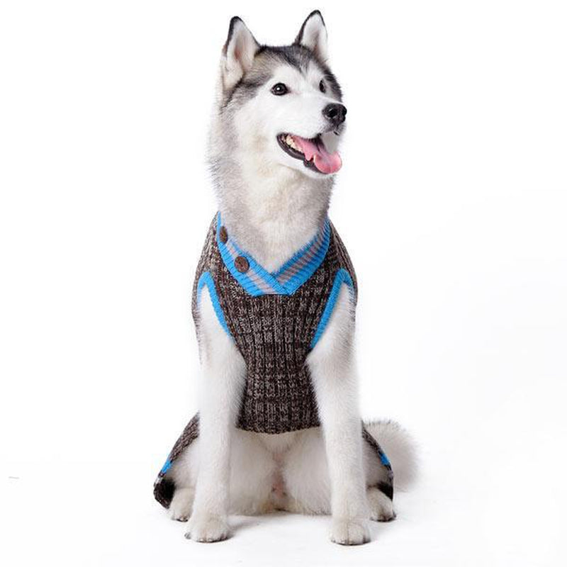 City V-Neck Dog Sweater by Dogo - Brown with Blue Trim, Pet Clothes, Furbabeez, [tag]