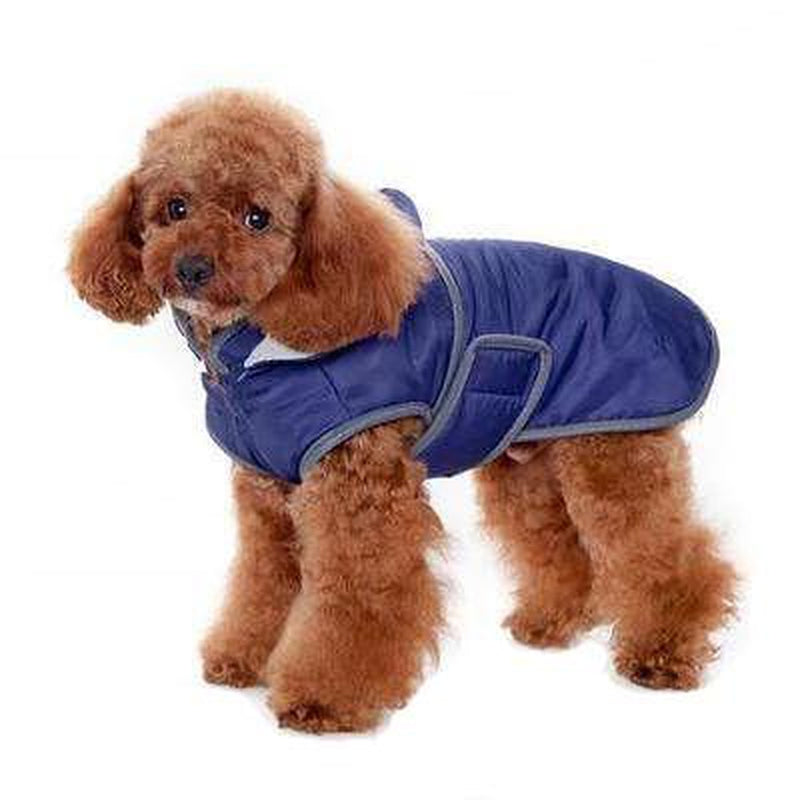 Classic Trench Dog Coat - Purple, Pet Clothes, Furbabeez, [tag]