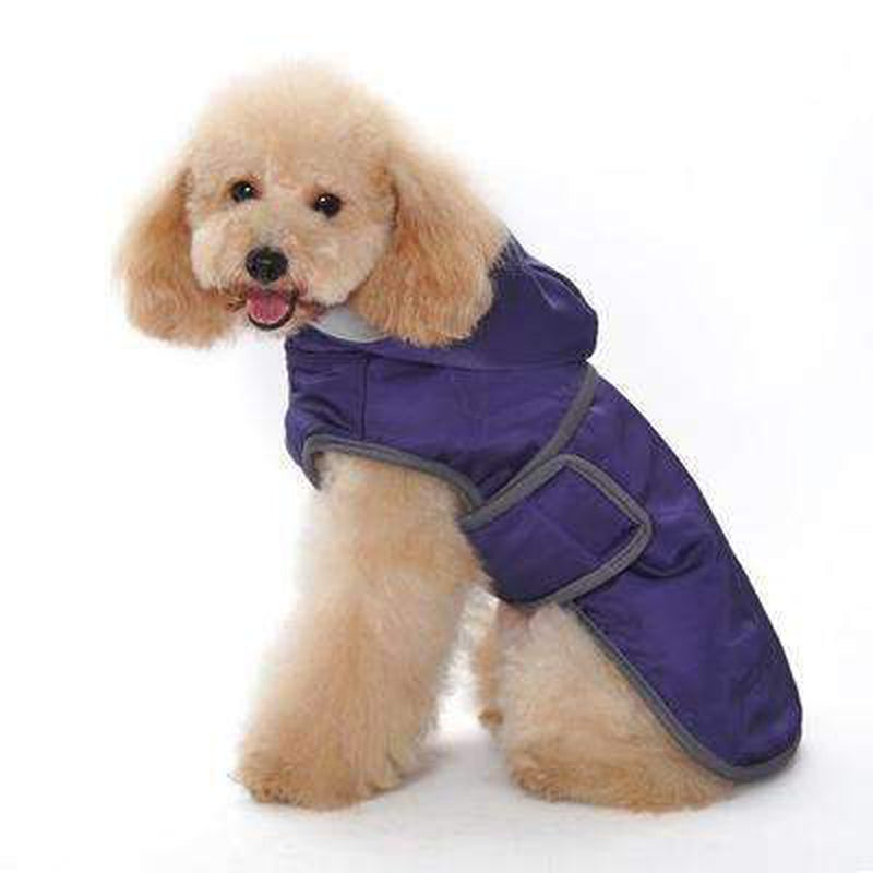 Classic Trench Dog Coat - Purple, Pet Clothes, Furbabeez, [tag]