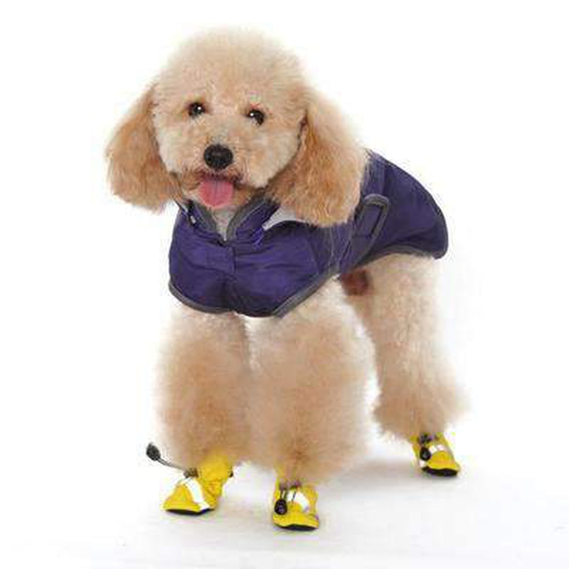 Classic Trench Dog Coat - Purple, Pet Clothes, Furbabeez, [tag]