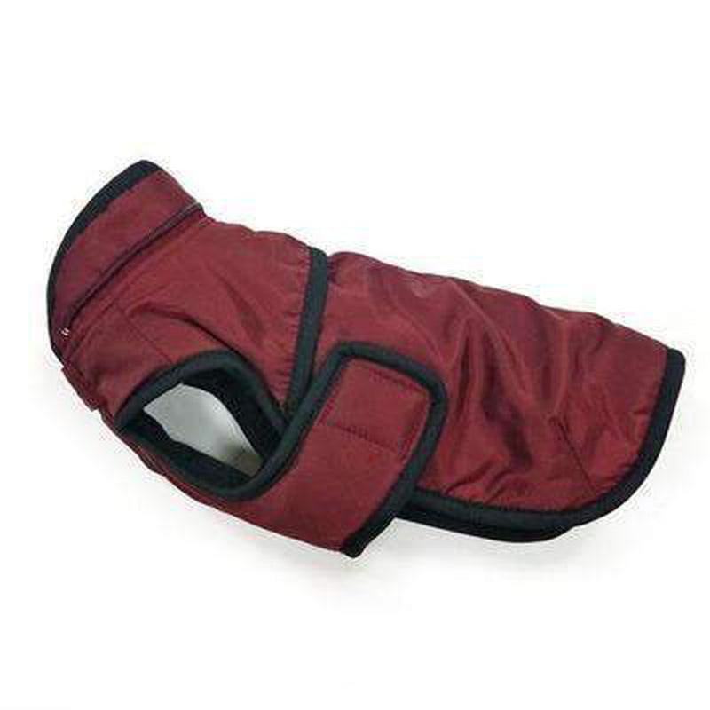 Classic Trench Dog Coat - Maroon, Pet Clothes, Furbabeez, [tag]