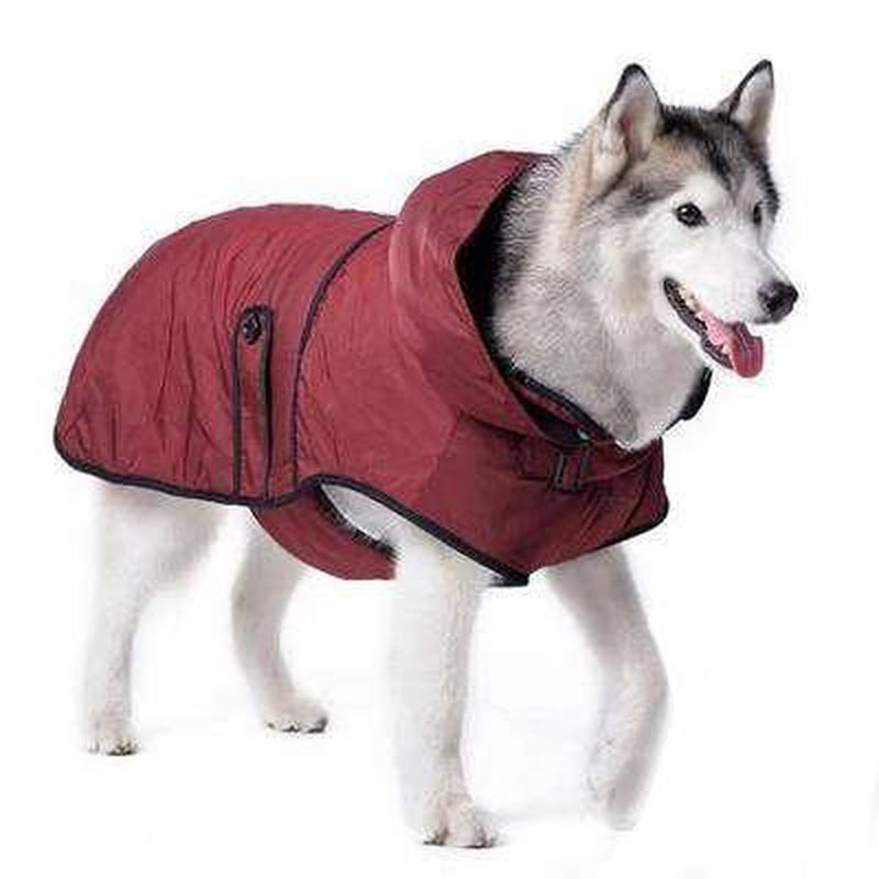 Classic Trench Dog Coat - Maroon, Pet Clothes, Furbabeez, [tag]