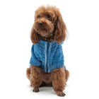Colorblock Dog Sweater Coat, Pet Clothes, Furbabeez, [tag]