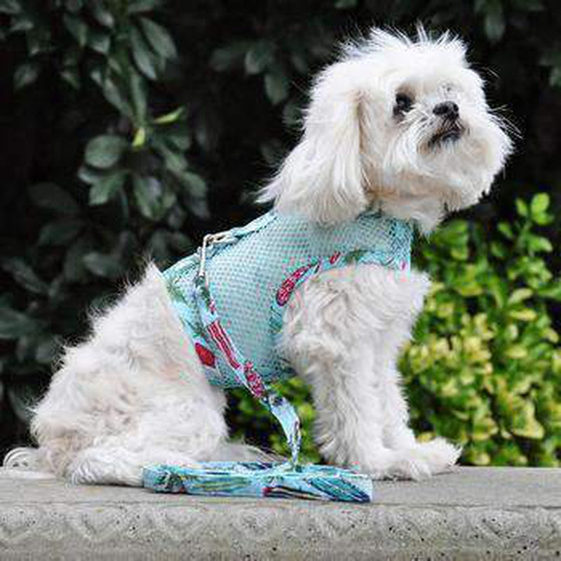 Cool Mesh Dog Harness with Leash - Surfboards and Palms, Collars and Leads, Furbabeez, [tag]