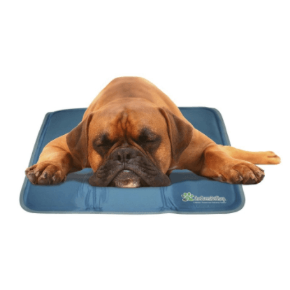 Cool Waterless Pet Pad Pet Bed Green Pet Shop 