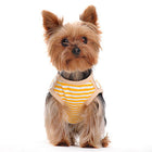 Crab Dog Tank Pet Clothes DOGO 