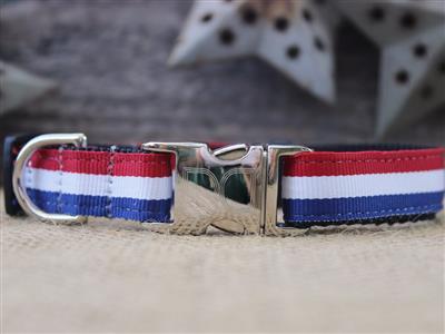 Custom Engraved Patriotic Pooch Nylon Dog Collar Collars and Leads Diva Dog 
