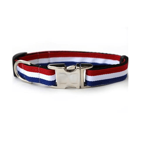 Custom Engraved Patriotic Pooch Nylon Dog Collar Collars and Leads Diva Dog 