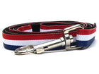 Custom Engraved Patriotic Pooch Nylon Dog Collar Collars and Leads Diva Dog 