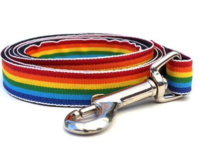 Custom Engraved Rainbow Dog Collar - Large Sizes Collars and Leads Diva Dog 