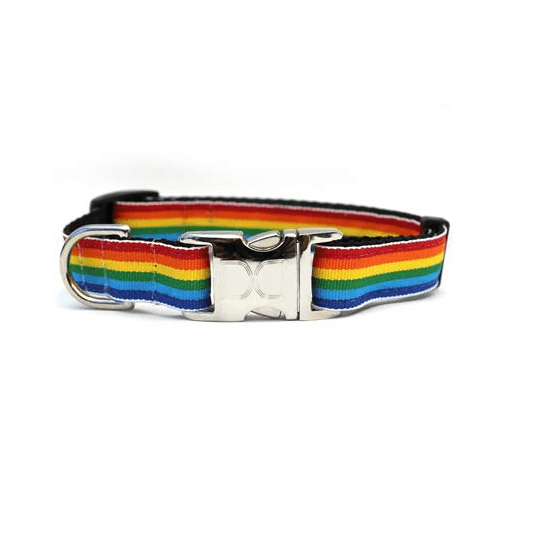 Custom Engraved Rainbow Dog Collar - Small Sizes Collars and Leads Diva Dog 