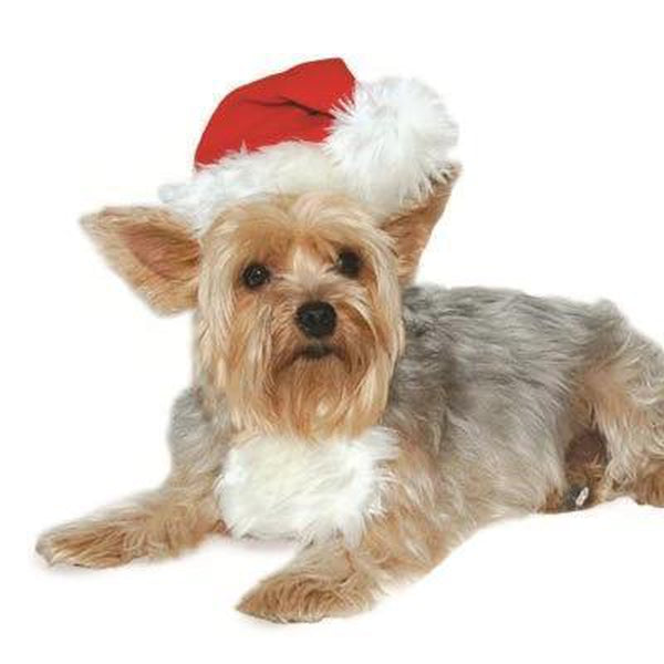 Cute Santa Dog Hat, Pet Accessories, Furbabeez, [tag]