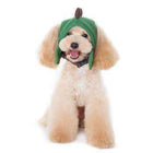 Dino Dog Hat, Pet Accessories, Furbabeez, [tag]