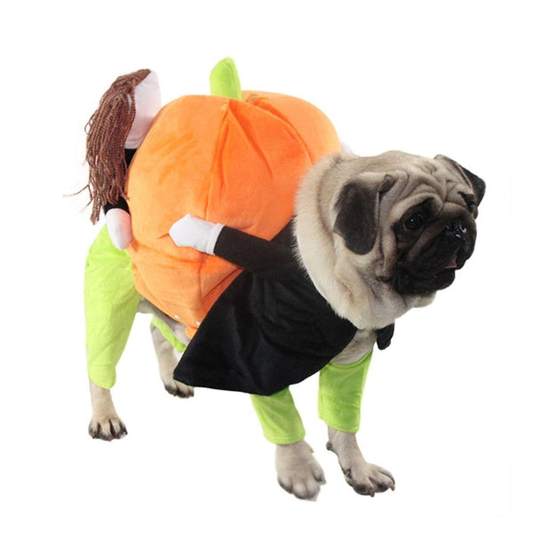 Dog Pilgrim Carrying Pumpkin Costume Pet Clothes Oberlo 