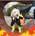 Dog Pilgrim Carrying Pumpkin Costume Pet Clothes Oberlo 