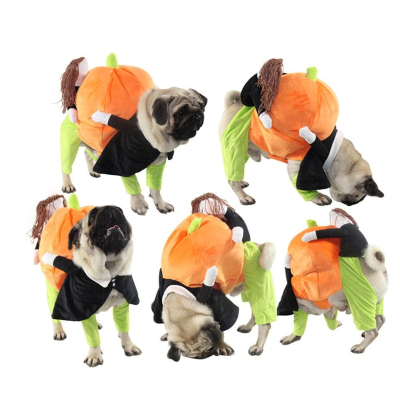 Dog Pilgrim Carrying Pumpkin Costume Pet Clothes Oberlo 