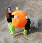 Dog Pilgrim Carrying Pumpkin Costume Pet Clothes Oberlo 