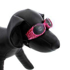 Doggles - ILS2 Pink Zebra Frame with Smoke Lens, Pet Accessories, Furbabeez, [tag]