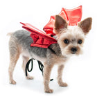 Dragon Wings Dog Costume, Pet Clothes, Furbabeez, [tag]