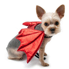 Dragon Wings Dog Costume, Pet Clothes, Furbabeez, [tag]