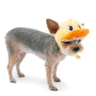 Duck Baseball Dog Hat, Pet Accessories, Furbabeez, [tag]