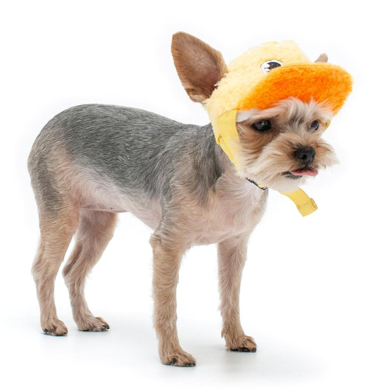 Duck Baseball Dog Hat, Pet Accessories, Furbabeez, [tag]