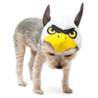 Eagle Dog Hat, Pet Accessories, Furbabeez, [tag]