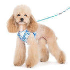 EasyGo Hawaii Dog Harness by Dogo - Blue, Collars and Leads, Furbabeez, [tag]