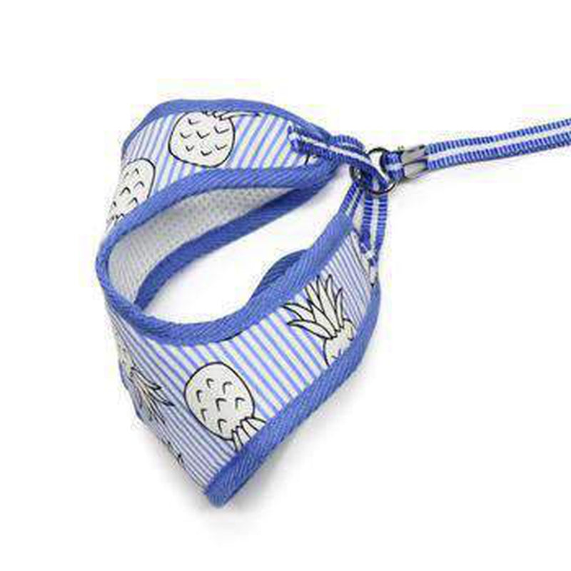 EasyGO Pineapple Dog Harness by Dogo - Blue, Collars and Leads, Furbabeez, [tag]