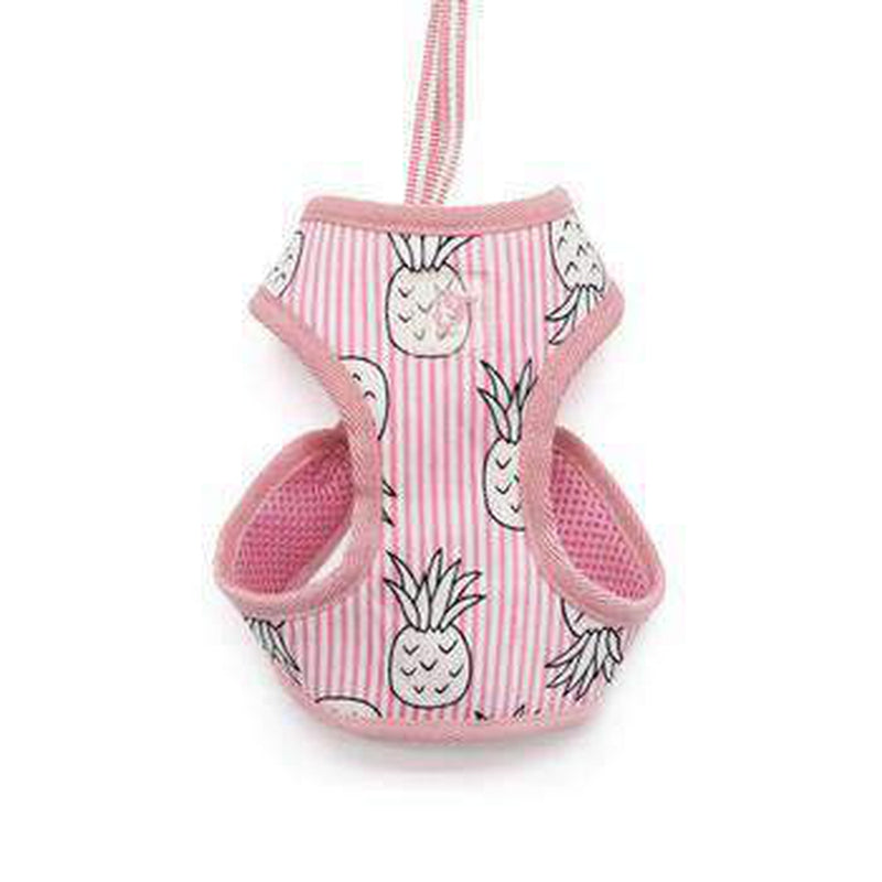 EasyGO Pineapple Dog Harness by Dogo - Pink, Collars and Leads, Furbabeez, [tag]