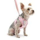 EasyGO Pineapple Dog Harness by Dogo - Pink, Collars and Leads, Furbabeez, [tag]