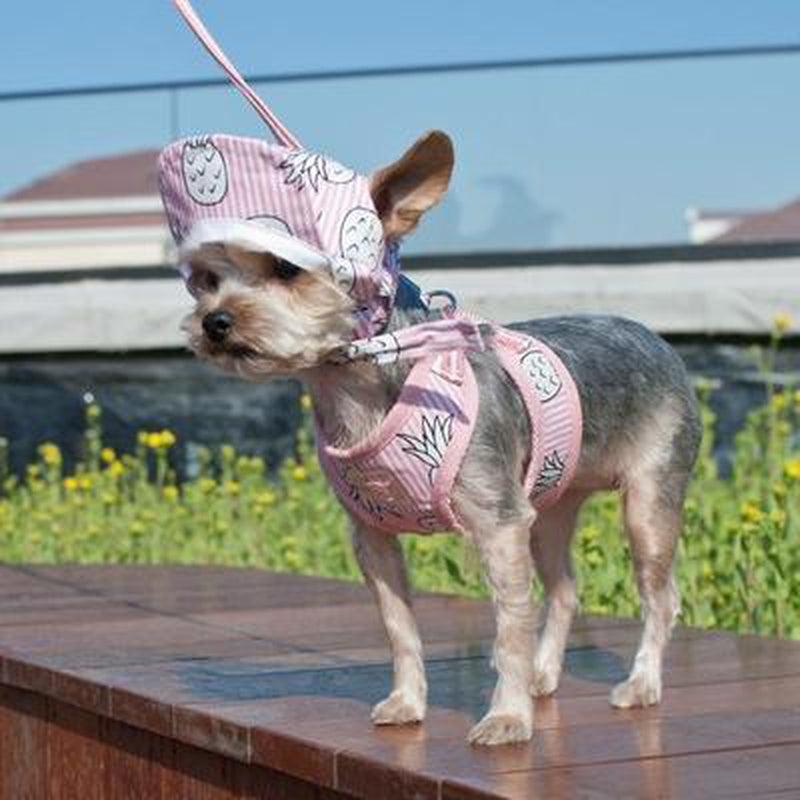 Pink Pineapple Dog Hat, Pet Accessories, Furbabeez, [tag]