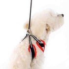 EasyGo Polo Stripe Dog Harness by Dogo - Black, Collars and Leads, Furbabeez, [tag]