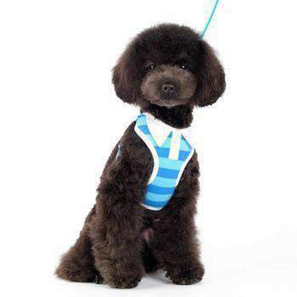 EasyGo Polo Stripe Dog Harness by Dogo - Blue, Collars and Leads, Furbabeez, [tag]