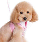EasyGo Ruffle Dog Harness by Dogo - Pink, Collars and Leads, Furbabeez, [tag]