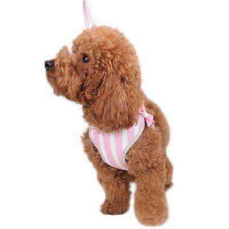 EasyGO Sweetbow Dog Harness by Dogo, Collars and Leads, Furbabeez, [tag]