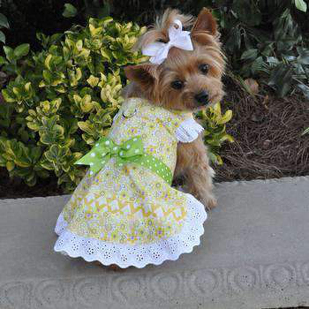 Emily Yellow Floral and Lace Dog Dress with Matching Leash, Large