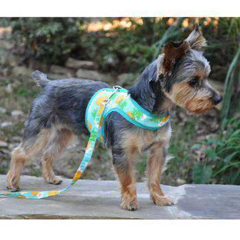 Fabric Dog Harness with Leash - Pineapple Luau, Collars and Leads, Furbabeez, [tag]