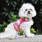 Fabric Dog Harness with Leash - Pink Hawaiian Floral, Collars and Leads, Furbabeez, [tag]