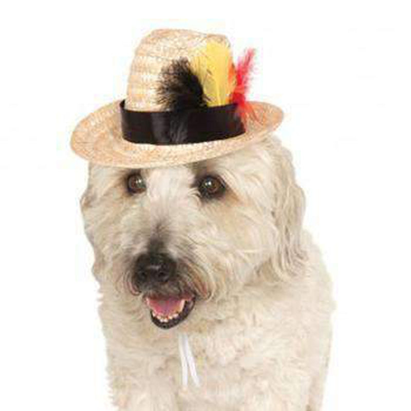 Fedora Dog Hat with Feathers, Pet Accessories, Furbabeez, [tag]