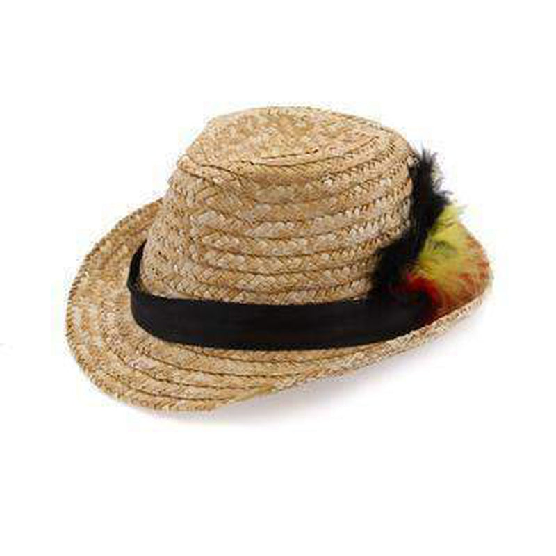 Fedora Dog Hat with Feathers, Pet Accessories, Furbabeez, [tag]
